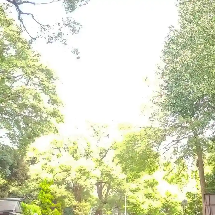 明治神宮の自然