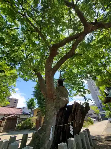 阿邪訶根神社の庭園