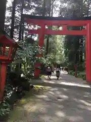 箱根神社の鳥居