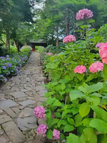 本光寺(愛知県)