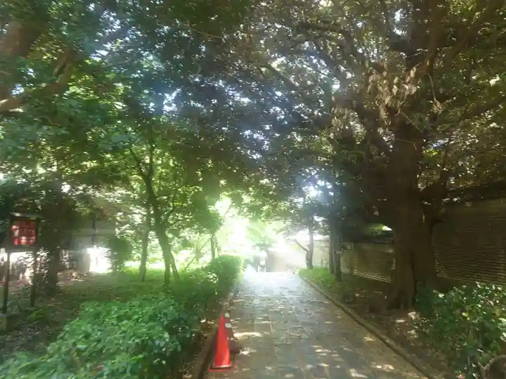 湯島聖堂(東京都)