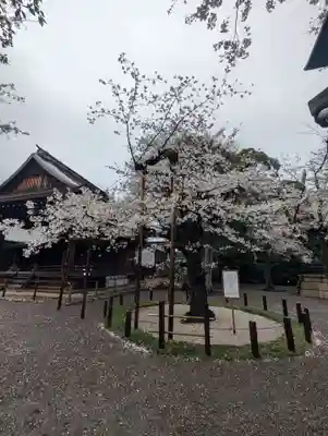 靖國神社(東京都)