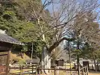 八幡神社(兵庫県)