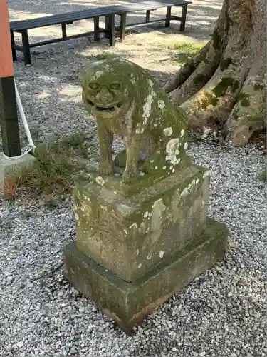 間々田八幡宮の狛犬
