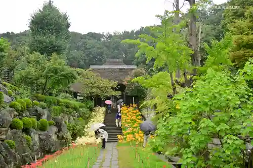 横浜　西方寺の山門・神門