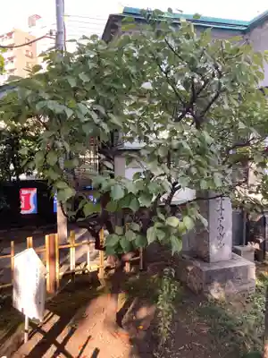 大鳥神社(東京都)
