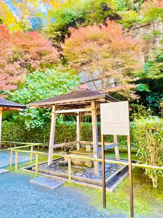 明月院(神奈川県)