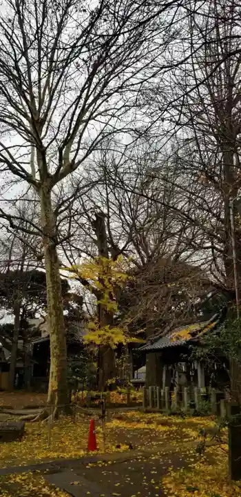 諏方神社(東京都)