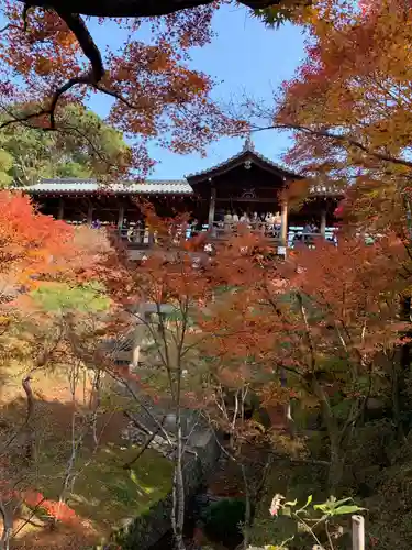 東福禅寺（東福寺）の自然