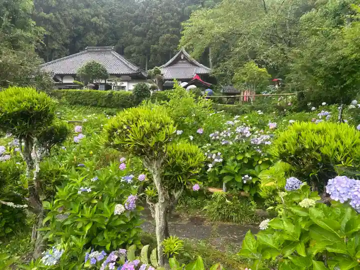 極楽寺(静岡県)