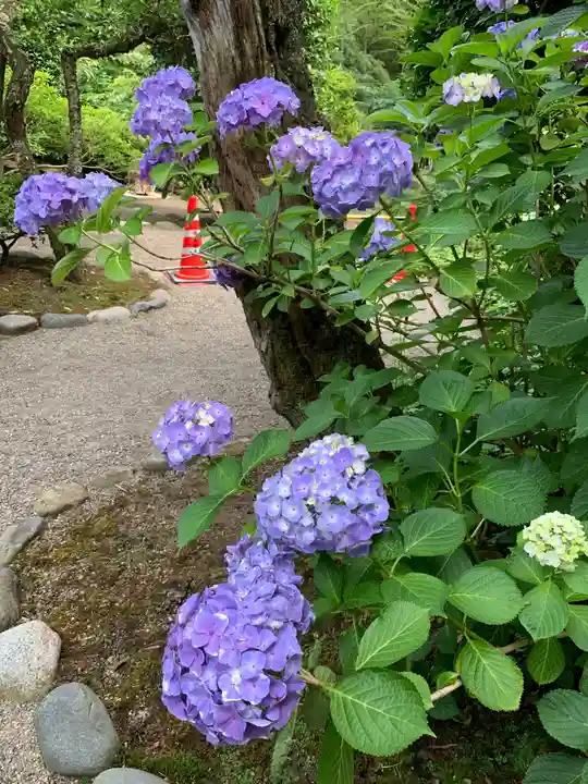 芳賀天満宮の自然