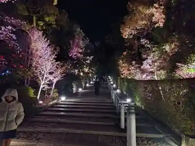 知恩院(京都府)