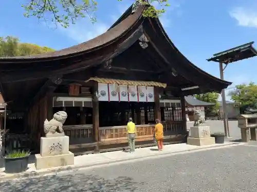 尾張大國霊神社（国府宮）(愛知県)