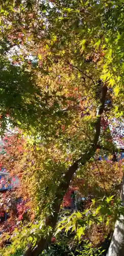 香取神社(東京都)