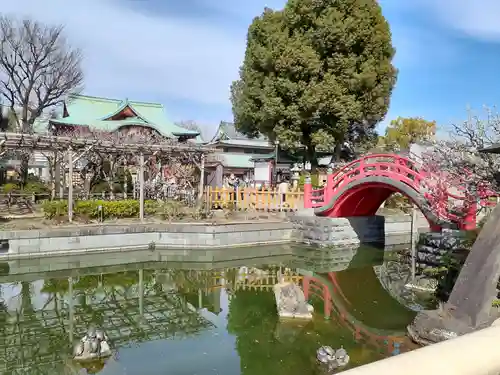 亀戸天神社の景色