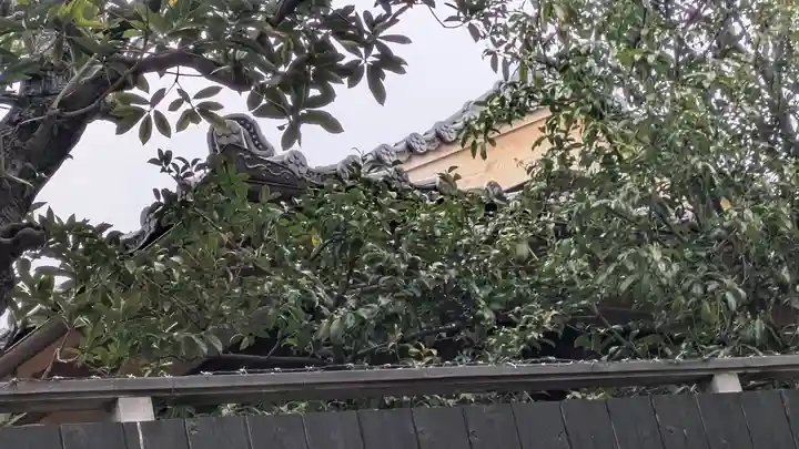 松梅院(京都府)