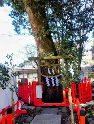 大前神社(栃木県)