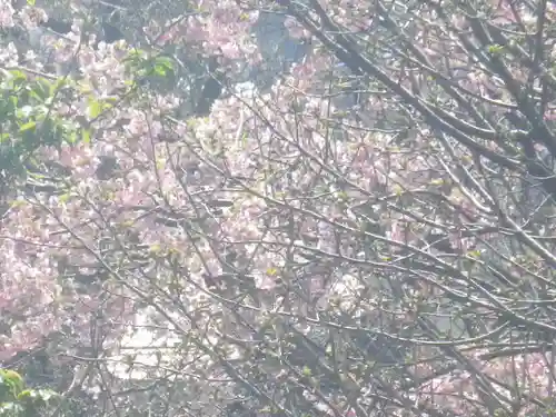 鶴岡八幡宮の自然