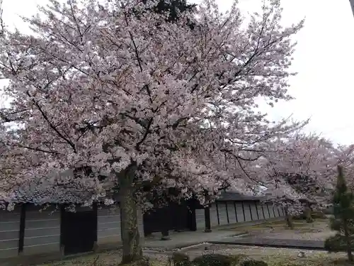 毫攝寺(福井県)