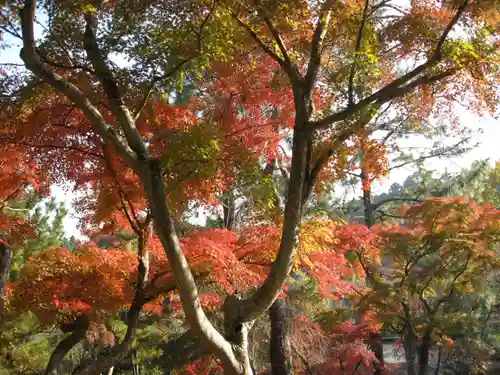 成田山新勝寺(千葉県)