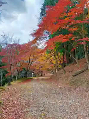 吉野神宮(奈良県)