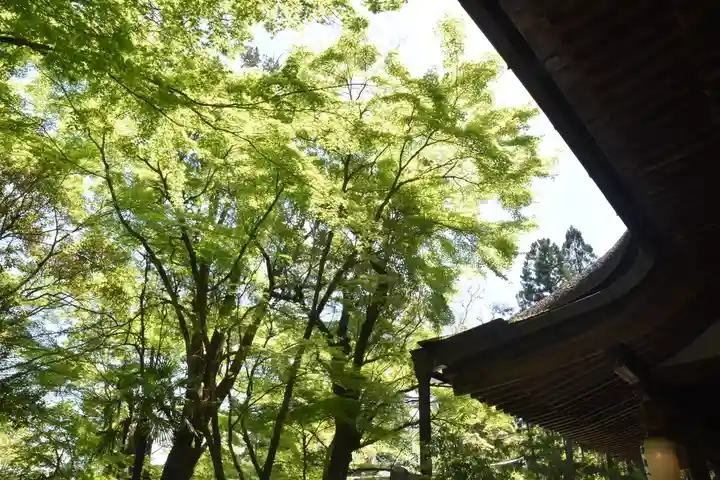石山寺の自然
