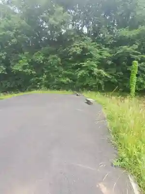 女浅間神社の周辺