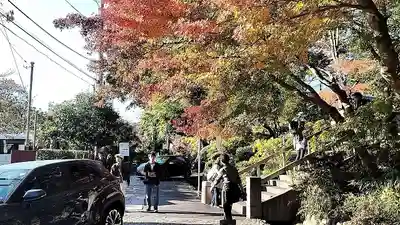 深大寺(東京都)