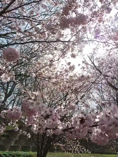 厚別神社(北海道)