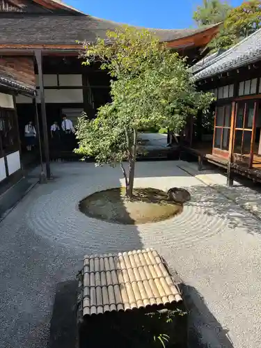 建仁寺（建仁禅寺）(京都府)