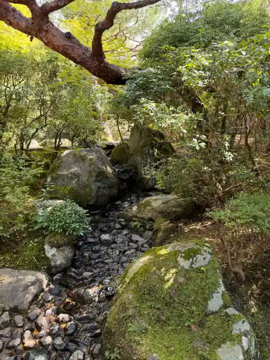 知恩院(京都府)