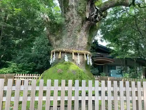 熱田神宮の自然