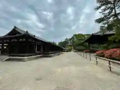 唐招提寺(奈良県)