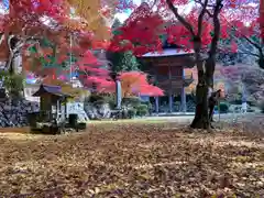 洞光寺(兵庫県)