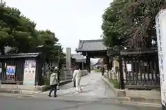 妙蓮寺の山門