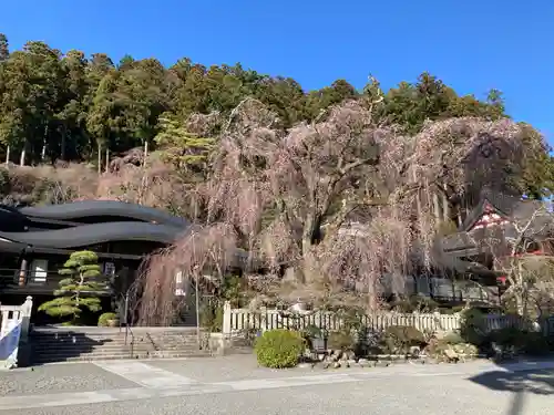 久遠寺(山梨県)