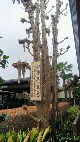 水宮神社の歴史