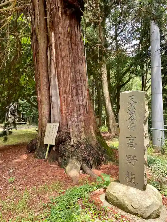 西明寺(栃木県)