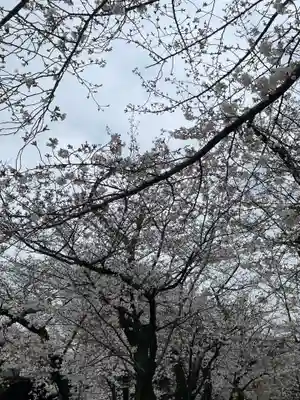 靖國神社(東京都)