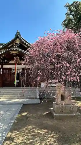 屯倉神社(大阪府)