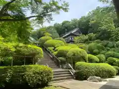 等覚院の庭園