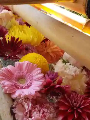 東郷神社(東京都)