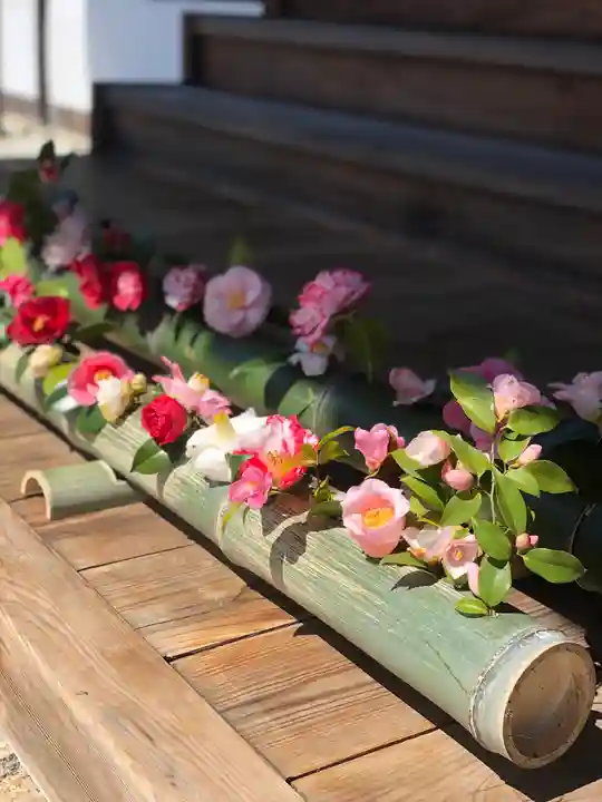 霊鑑寺門跡の自然