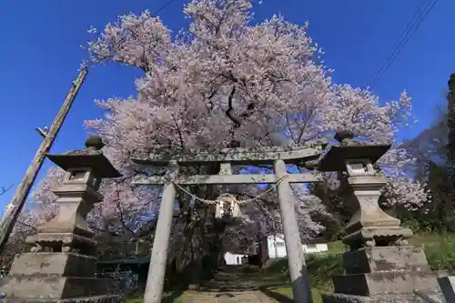 諏訪神社の鳥居