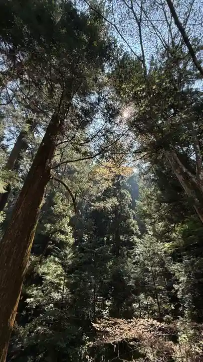 最乗寺(道了尊)(神奈川県)