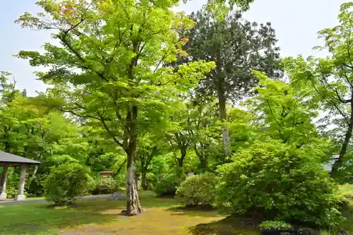 妙高寺(新潟県)