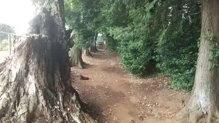 八幡神社(茨城県)