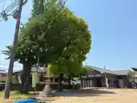 蛭子神社の{uncategorized: "未分類", other: "その他", undefined: "問題あり", building: "その他建物", grave: "お墓", sacred_gate: "鳥居", guardian: "狛犬", statue: "像", buddha: "仏像", history: "歴史", nature: "自然", garden: "庭園", animal: "動物", pagoda: "塔", temizu: "手水舎", mountain_gate: "山門・神門", sanctuary: "本殿・本堂", subordinate: "末社・摂社", art: "芸術", scenery: "景色", jizo: "地蔵", ema: "絵馬", goshuin: "御朱印", omikuji: "おみくじ", items: "授与品その他", amulet: "お守り", goshuincho: "御朱印帳", eats: "食事", festival: "お祭り", votive_dance: "神楽", shichigosan: "七五三参", wedding: "結婚式", experience: "体験その他", initially: "初詣", around: "周辺", anti_infection: "感染症対策"}