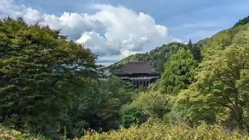 清水寺の景色