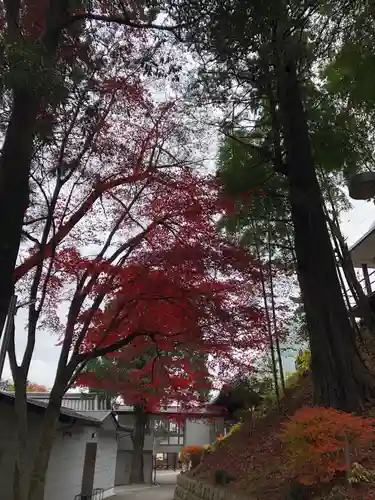 金乗院放光寺の自然